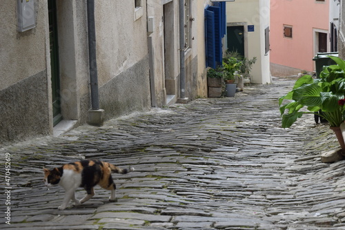 Croatia Istria