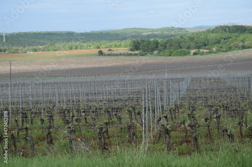 Croatia Istria Krk