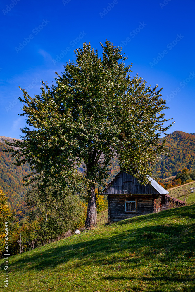 Wooden house for tourists in the autumn Carpathian mountains. Wooden house for tourists in the autumn Carpathian mountains.