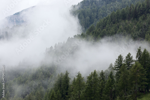 The hills of the Dolomites covered with dense fog