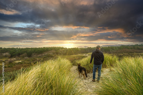 A man walks with his dog a German Shepherd on a sandy path between marram grass over the top of a dune on the coast of Zeeland near Burgh-Haamstede with warm colors setting sun in the background © photodigitaal.nl
