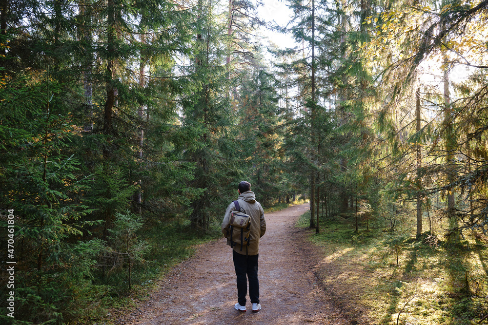 Obraz premium A man traveler walks through the woods. Beautiful wild nature landscape in forest. Hiking journey on tourist trail. Outdoor adventure. Travel and exploration. Healthy lifestyle, leisure activities