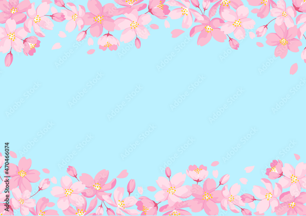 Cherry Blossoms Frame, Light Blue Background