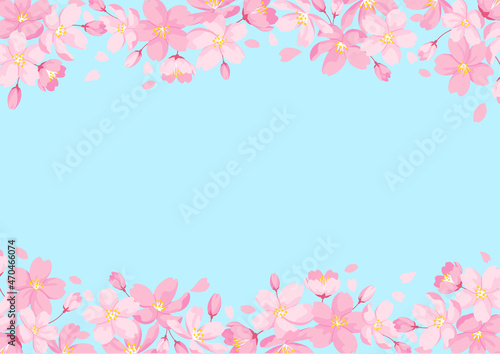 Cherry Blossoms Frame, Light Blue Background