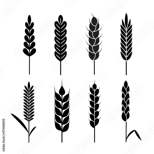 Wheat ears icons. Organic agriculture cereals harvest. Rye black silhouettes, bread or beer symbol, bakery logo element, natural ecological products label. Vector isolated set