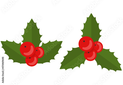 Christmas Holly Berry leaves. Vector illustration. Eps