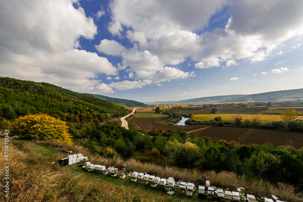 Naklejka premium Winding magnificent mountain and cloudy road on the decked road, Beehives