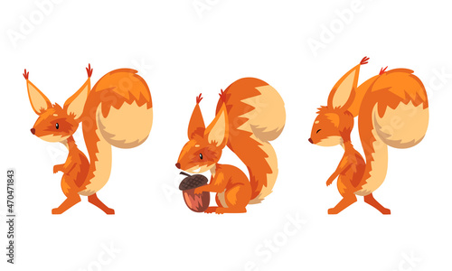 Funny Furry Squirrel Animal with Bushy Tail and Orange Coat Holding Acorn Vector Set