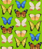 Seamless pattern with butterflies. Forest background. Hand-drawn illustration, colored