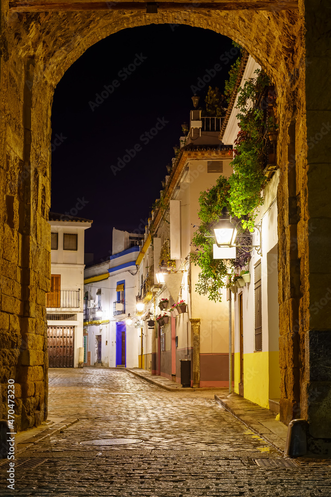 Alley at night behind an entrance arch in the wall of Cordoba, Andalusia.