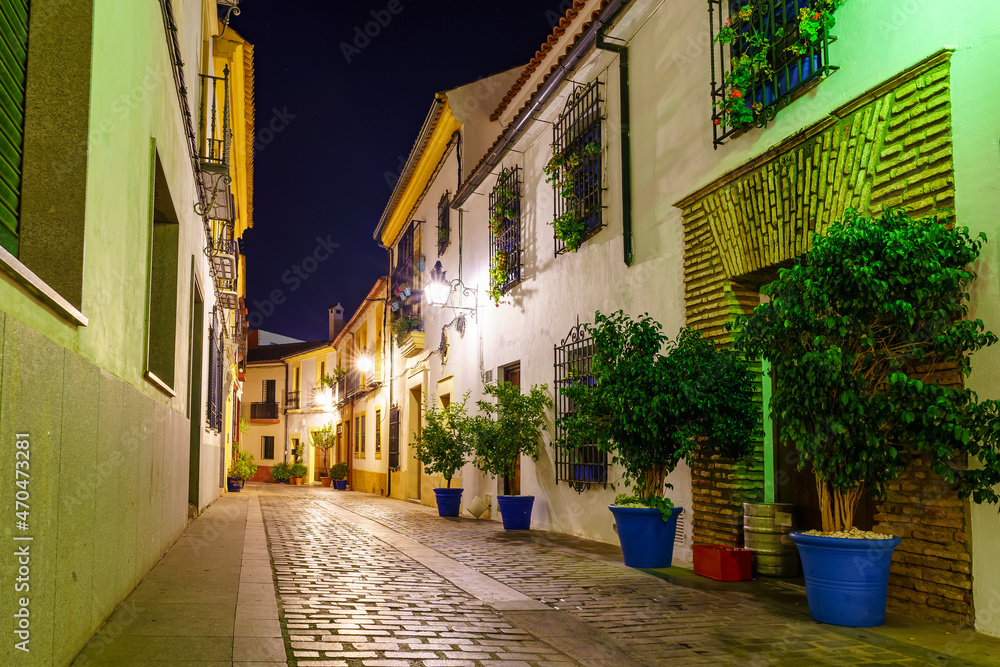 Picturesque alley with old houses, flowerpots and flowers in a night atmosphere. Cordoba Spain.