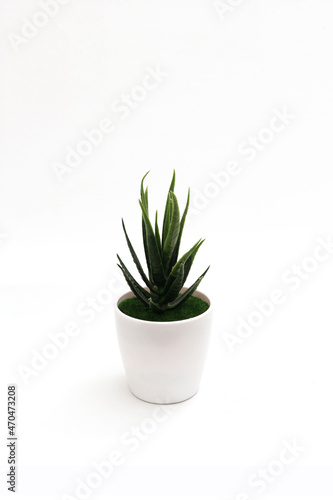 plastic tree in a pot on a white background