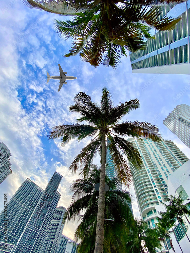 Fototapeta premium Miami Brickel Plane