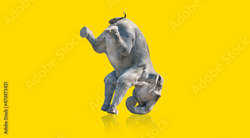 Elefant macht Kunststück