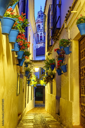 Calleja de las Flores with plants and pots at dusk in the picturesque city of Cordoba Spain. photo