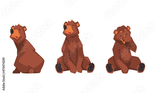 Wild Brown Grizzly Bear as Forest Habitant in Sitting Pose Vector Set