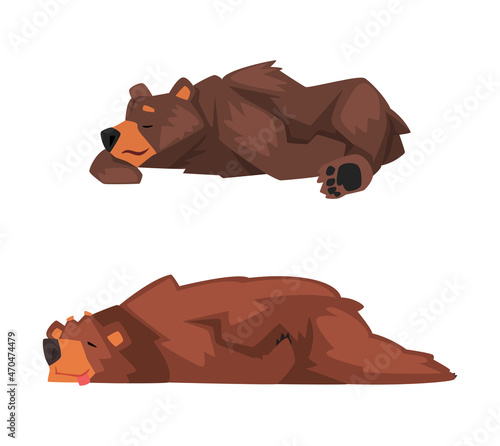 Wild Brown Grizzly Bear as Forest Habitant Lying and Sleeping Vector Set