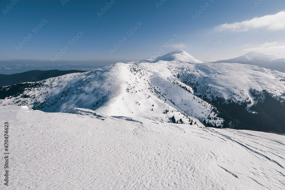 Very beautiful winter landscape in snowy mountains. Dramatic wintry scene. Panoramic view. Christmas holiday concept. Carpathians mountain, Ukraine.