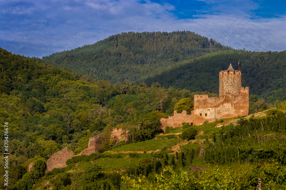 Le château de Kaysersberg Schlossberg Alsace-Haut.Rhin 68 France