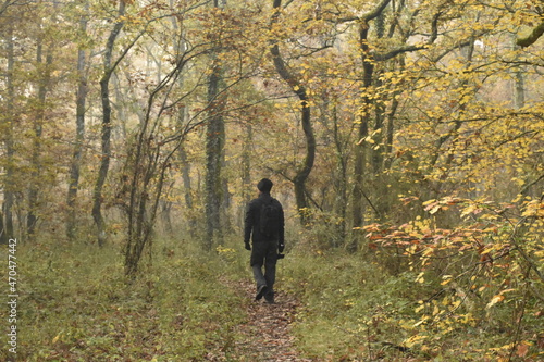 marcheur dans la forêt avec le brouillard © Lauan