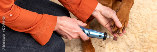Photography Dog nails grinding banner