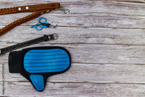 Dog accessories on wood background. Blue rubber grooming glove, claw clipper, brown leather leash and spiked collar for dog on wooden background. Top view, copy space. Pet care concept