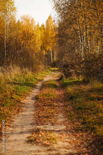 autumn in the park