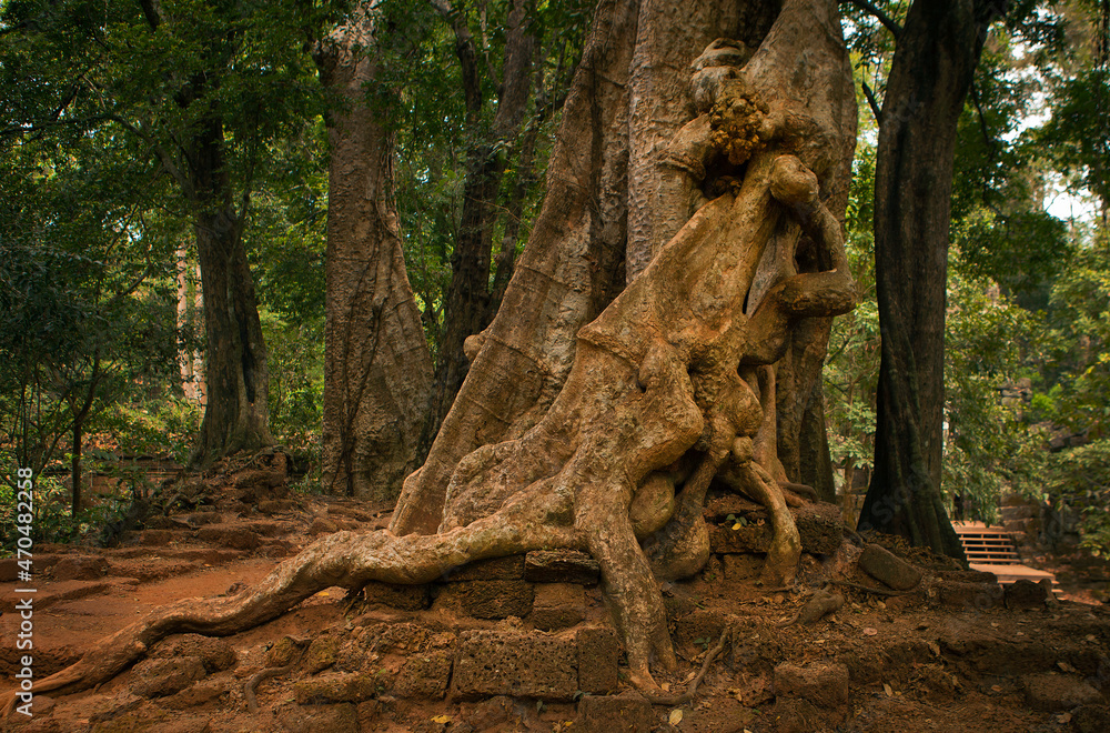 Angkor Wat is a huge Hindu temple complex in Cambodia.
Angkor Wat is a huge Hindu temple complex in Cambodia.