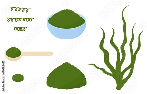 Spirulina  seaweed algae plant, dried powder and capsules isolated on white.  Vector illustration.