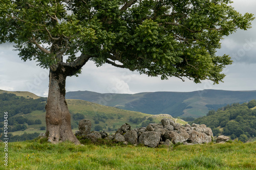 Volcans d'Auvergne, Thiézac, Cantal