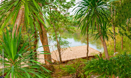 The view from the shore through palm trees on the River Kwai. Th