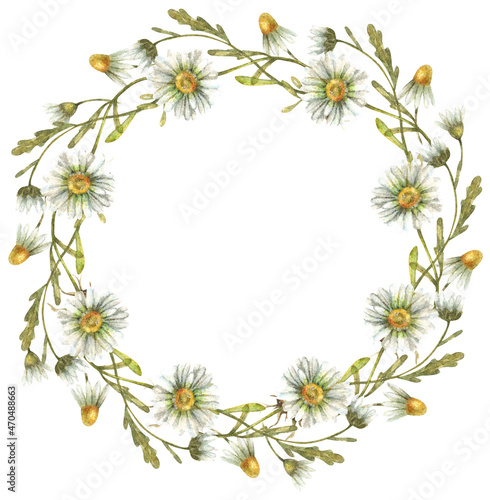 Watercolor floral wreath with cute daisies, buds, field herbs. © Marina