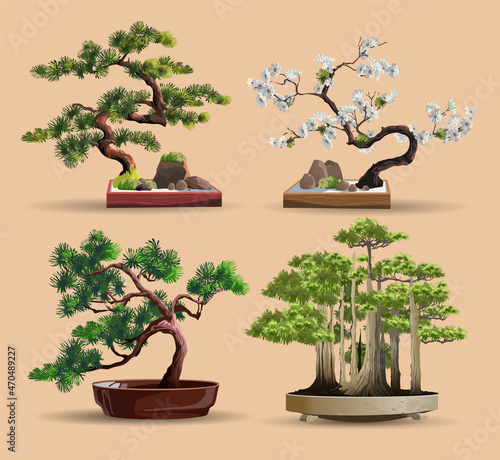 Set of bonsai Japanese trees grown in containers. Beautiful realistic tree. Tree in bonsai style. Bonsai tree on the red box. Decorative little tree vector illustration. Nature art photo