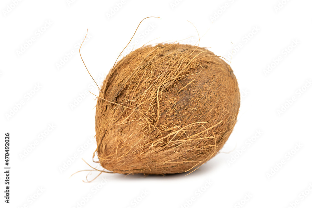 The fresh young mini coconut The fresh young mini coconut