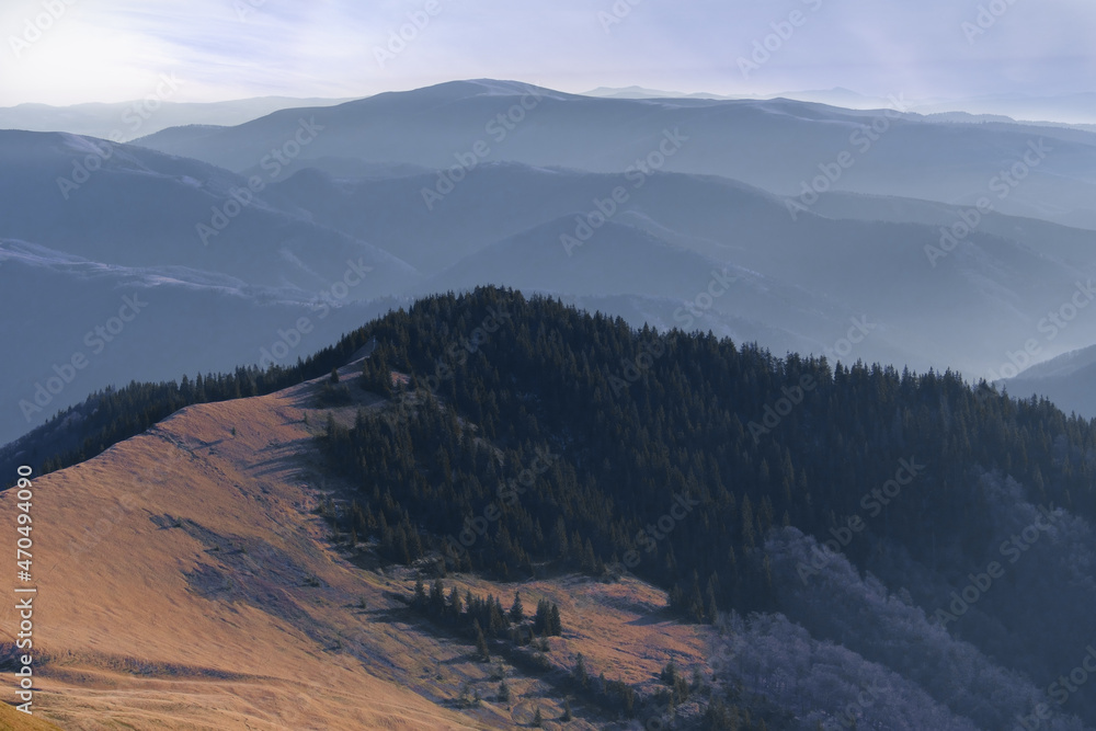 Obraz premium mountain peak covered with coniferous forest in cold light