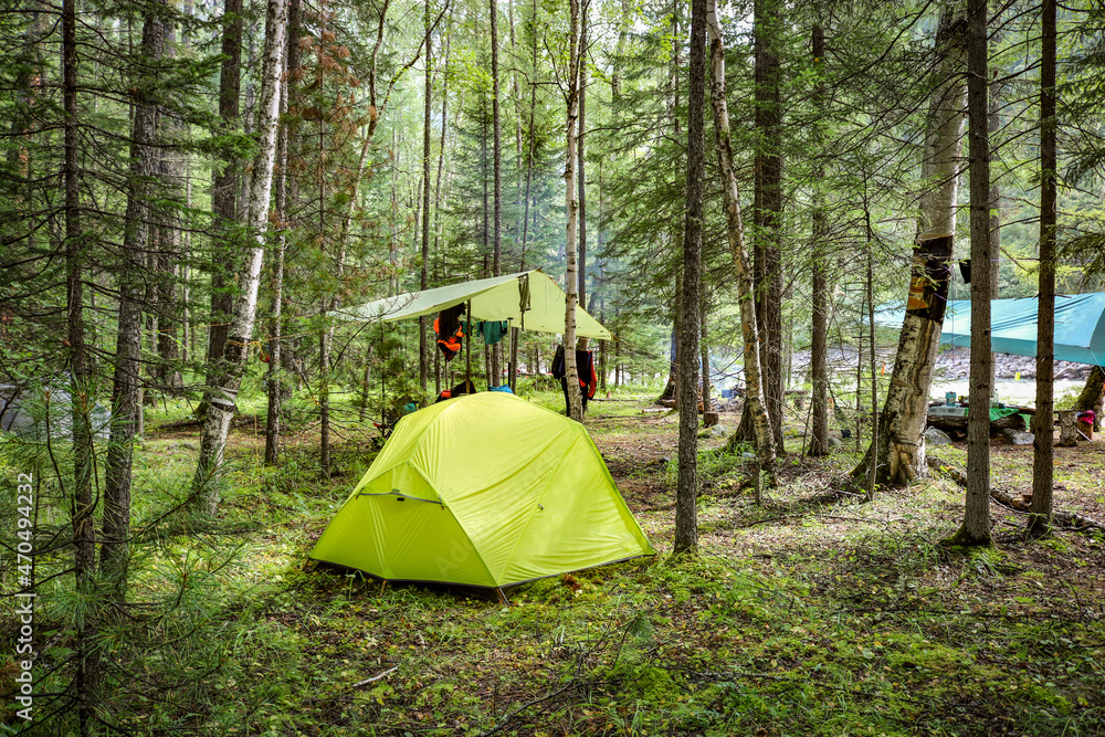 Bright green camping tent in the forest. Eco travel, camping, hiking, tourism concept.