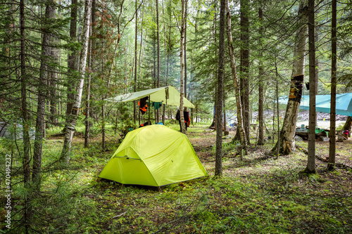 Bright green camping tent in the forest. Eco travel  camping  hiking  tourism concept.