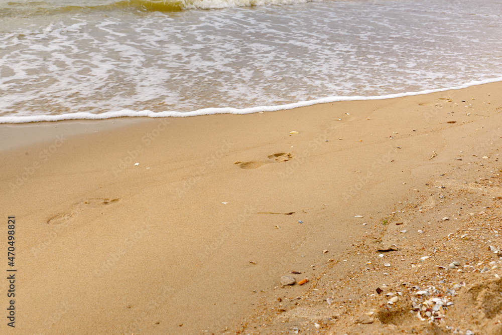 Footprints on the wet sand of the beach. Footprints on the wet sand of the beach.