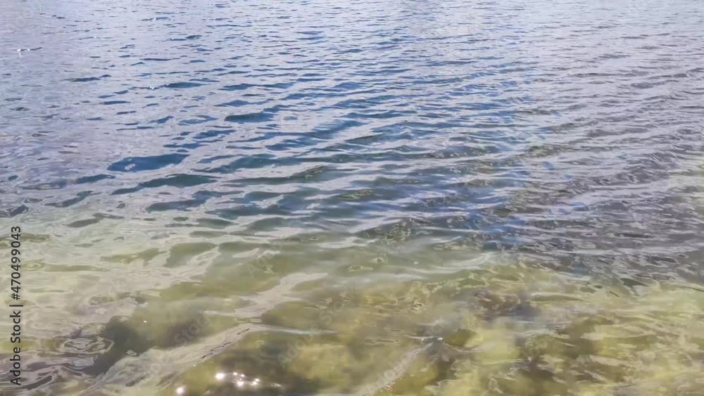 Clear water with sunbeam shining on waves, close-up on wild lake sandy coast. Beauty of nature. Water surface abstract background. Loop footage Clear water with sunbeam shining on waves, close-up on wild lake sandy coast. Beauty of nature. Water surface abstract background. Loop footage