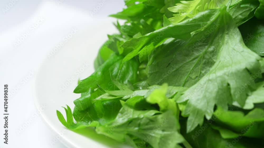 Chinese home vegetable salad with celery leaves Chinese home vegetable salad with celery leaves