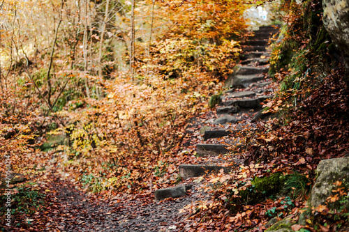 Müllerthal oder Müllerdall in Luxemburg in Herbst