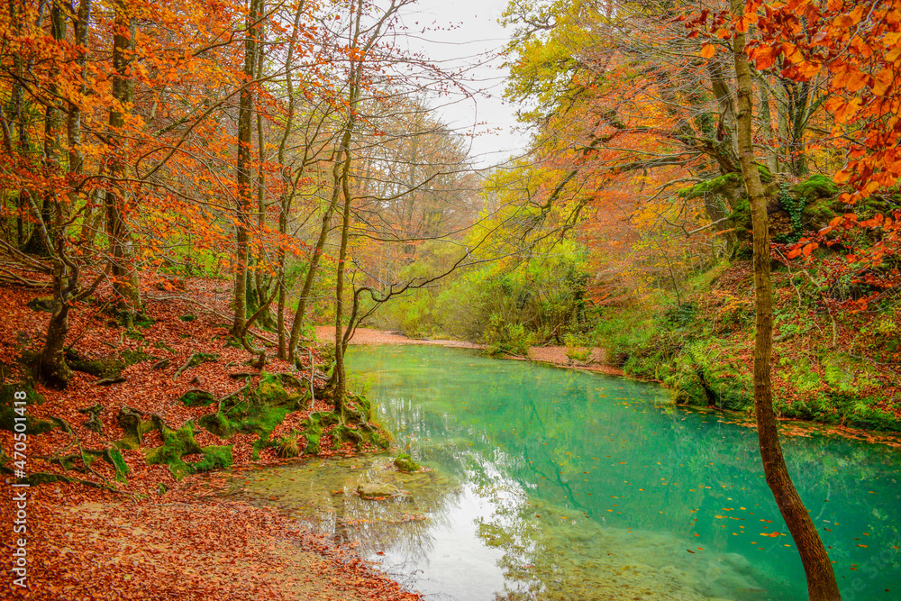 A lake of turquoise water with trees around it on an autumn day