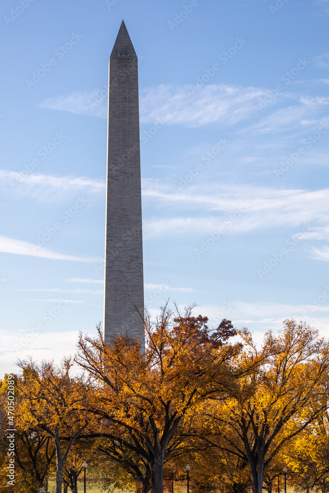 Fototapeta premium Autumn colors in oak trees in a park in Washington DC, USA. No visible people. The monument obelisk visible in background