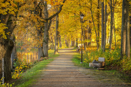 golden autumn koknese