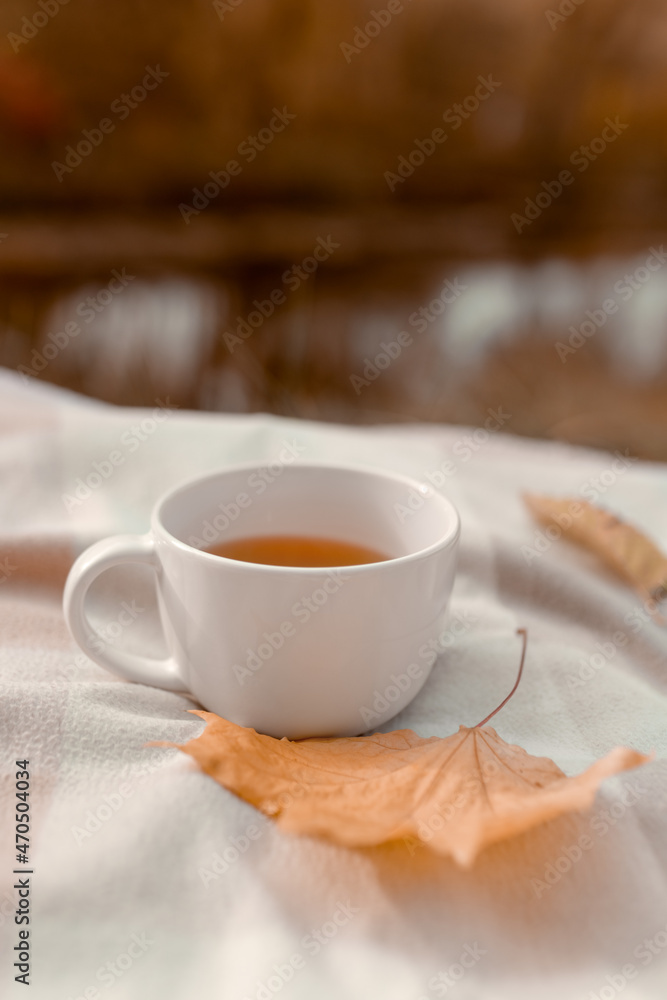 White cup with tea with yellow maple leaf in nature White cup with tea with yellow maple leaf in nature