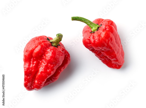 hot red ghost peppers photo