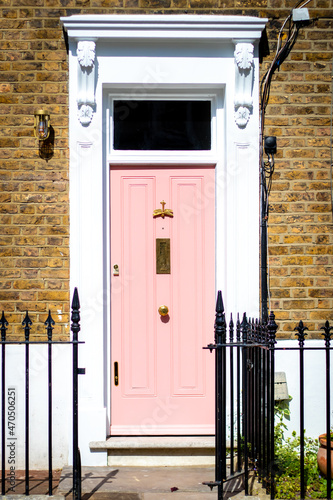 LIght pink front door with a golden dragonfly