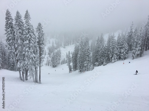 Powder Snow Day Tahoe