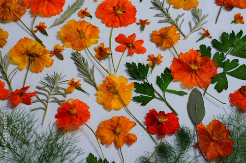 Colorful pressed dried edible flowers for cake decoration