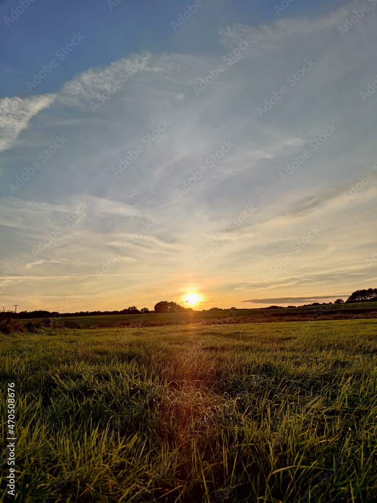 sunset on field